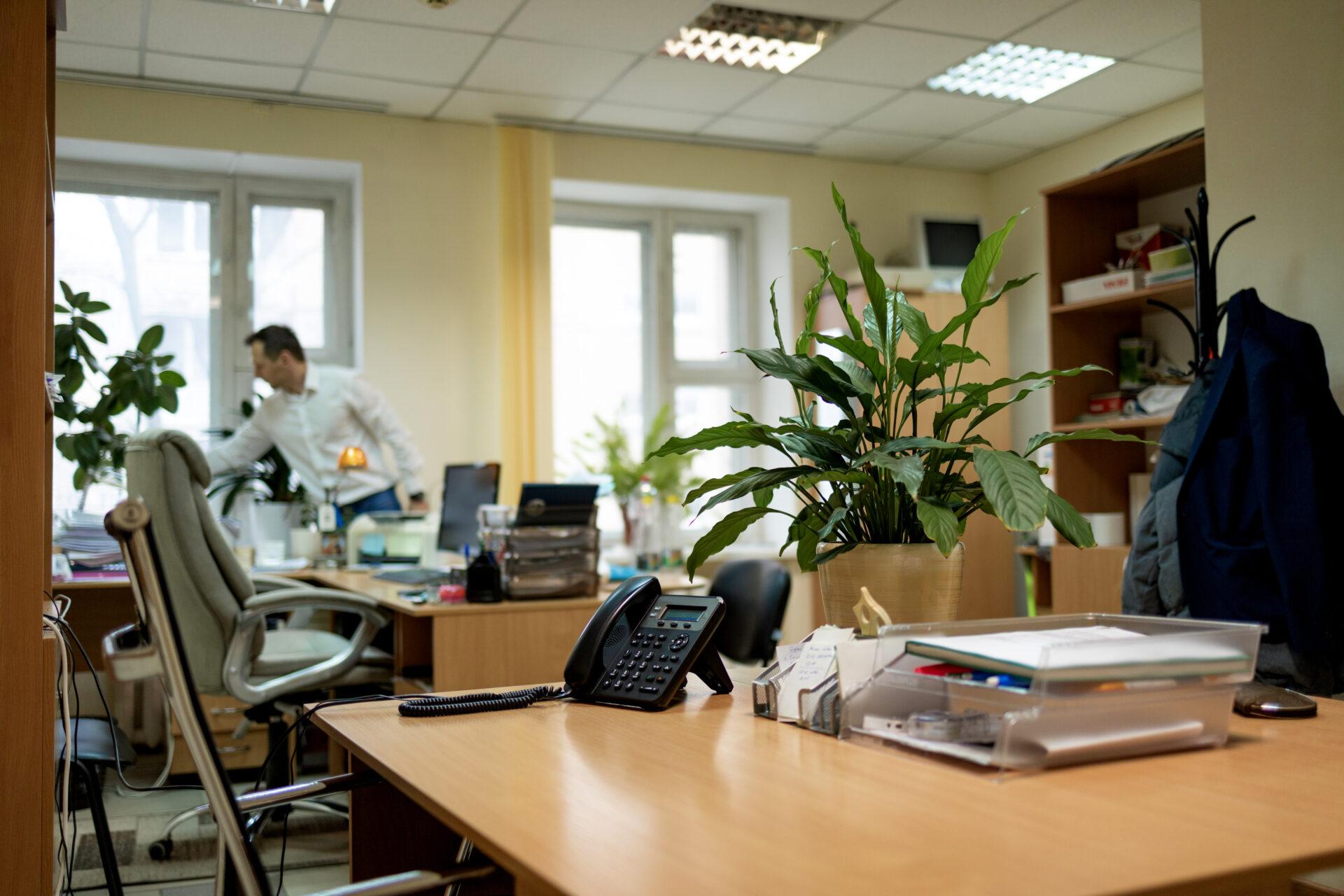 conectividad zonas rurales